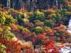 日本的北海道風景3