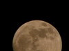 我也來貼月亮-FZ10拍的