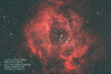 玫瑰星雲 NGC 2237