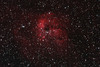 IC410 蝌蚪星雲
