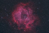 NGC2244 Rosette Nebula 玫瑰星雲