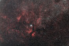 天鵝座 Gamma星附近星雲