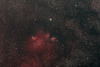 NGC 6559 貓腳