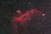  IC2177 海鷗星雲