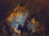 NGC7000 & IC5067 in Hubble palette