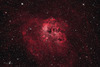 IC410 骷髏頭星雲