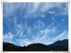 今天早上的天空，雪白的雲構成這幅奇特景象(6/23)