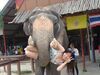 被112歲的大象舉起!!