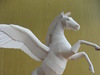 飛馬/Pegasus