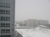 2009年第一场雪