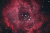 各式各樣的玫瑰星雲 NGC2244
