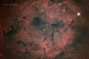 IC1396 & 象鼻星雲